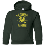 Riding Academy Youth Hoodie