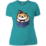 Bigger On The Inside Women's Premium T-Shirt