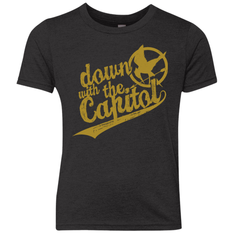 Down with the Capitol Youth Triblend T-Shirt