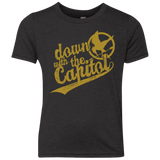 Down with the Capitol Youth Triblend T-Shirt