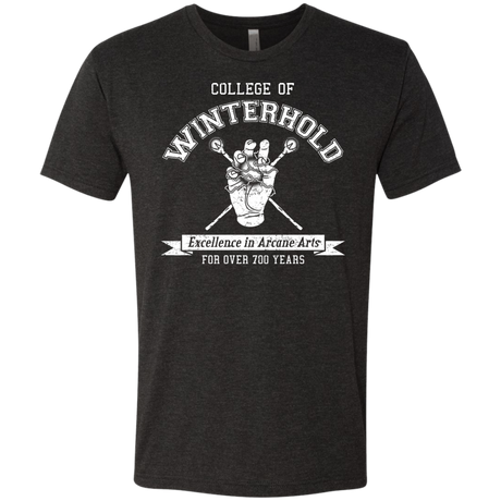 College of Winterhold Men's Triblend T-Shirt