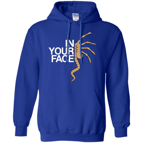 IN YOUR FACE Pullover Hoodie
