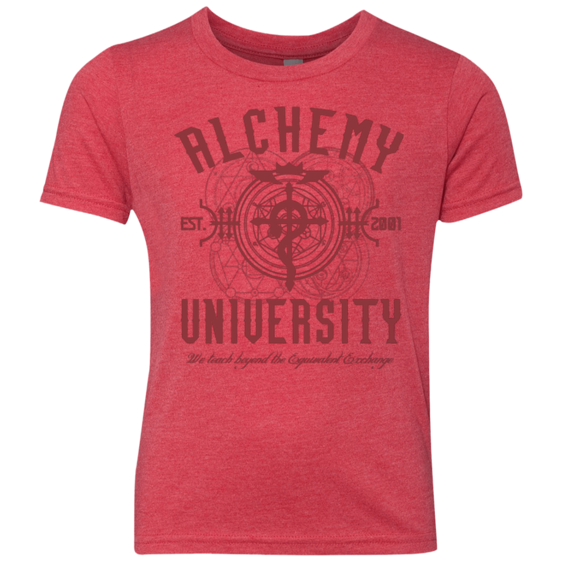 Alchemy University Youth Triblend T-Shirt
