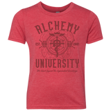 Alchemy University Youth Triblend T-Shirt