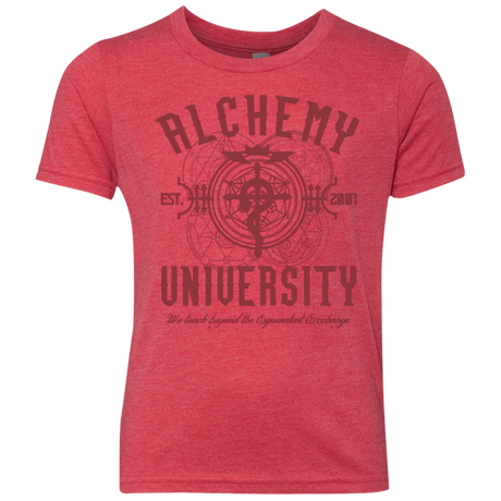 Alchemy University Youth Triblend T-Shirt
