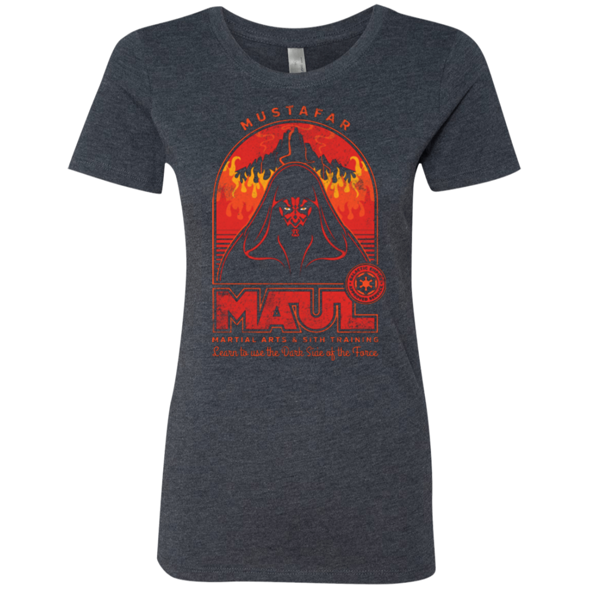 Maul Martial Arts Women's Triblend T-Shirt