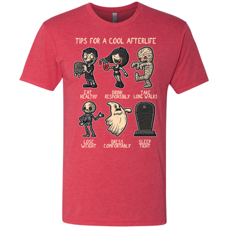 Cool Afterlife Men's Triblend T-Shirt