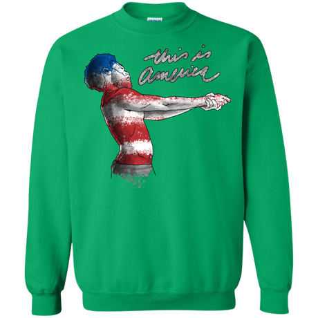 America Crewneck Sweatshirt