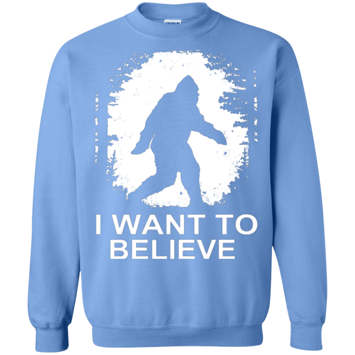 Believe Crewneck Sweatshirt