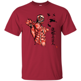 Flying for Freedom T-Shirt