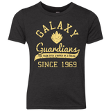 Guardians Since 1969 Youth Triblend T-Shirt