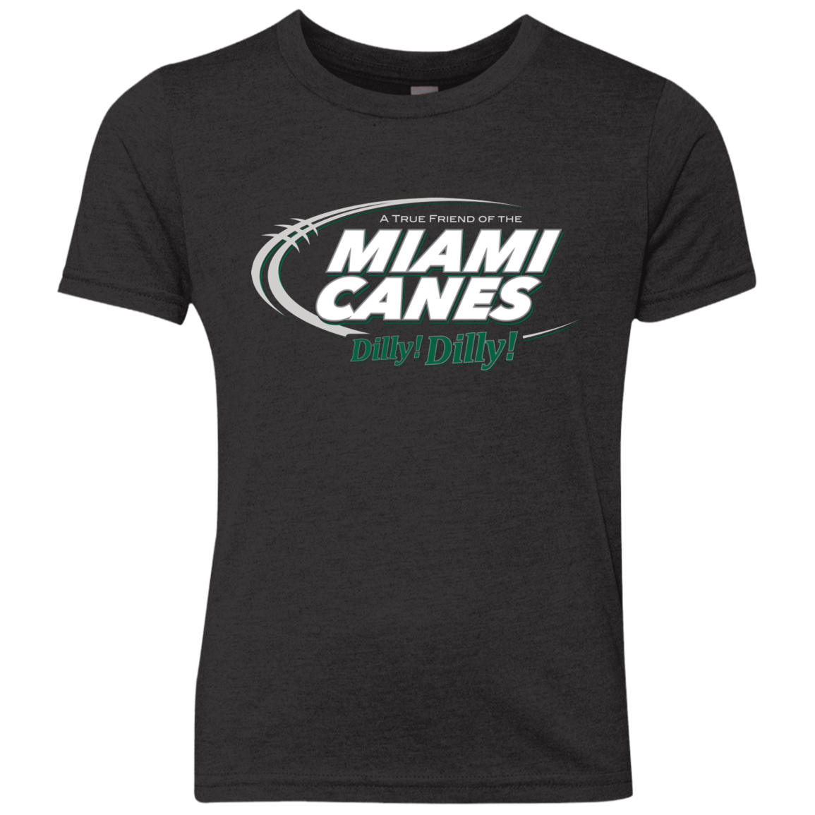 Miami Dilly Dilly Youth Triblend T-Shirt