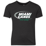 Miami Dilly Dilly Youth Triblend T-Shirt