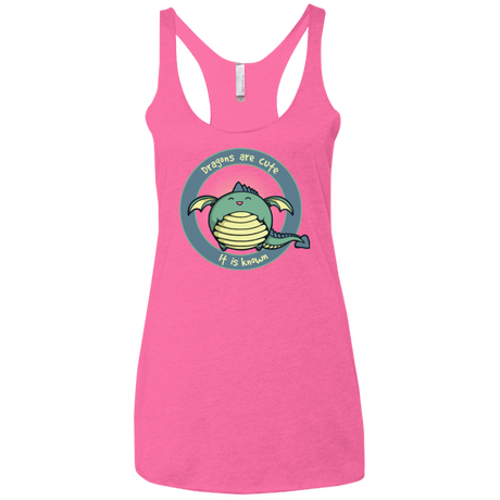 Dragons are Cute Women's Triblend Racerback Tank