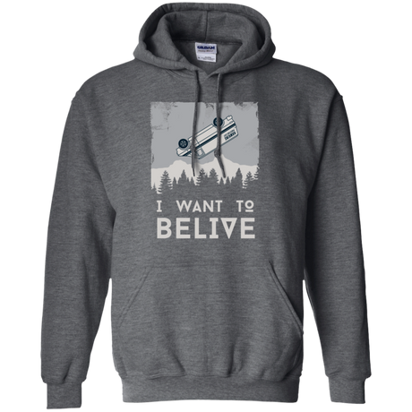 I Want to Believe Pullover Hoodie