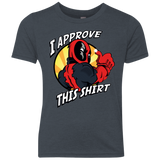 I Approve This Shirt Youth Triblend T-Shirt