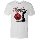 Keyblade Wielder Men's Triblend T-Shirt