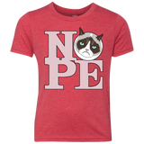 All You Need is NOPE Youth Triblend T-Shirt