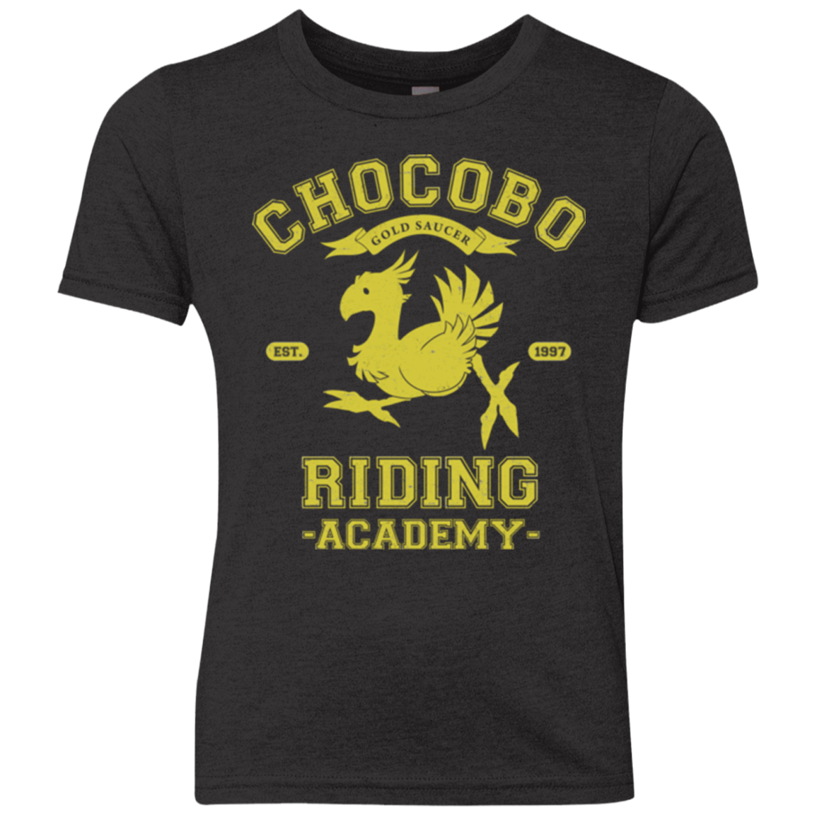 Riding Academy Youth Triblend T-Shirt