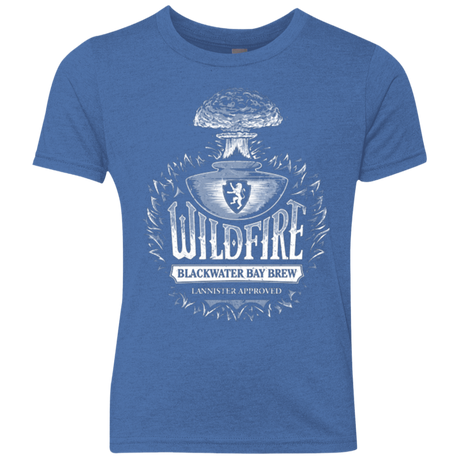 Wildfire Youth Triblend T-Shirt