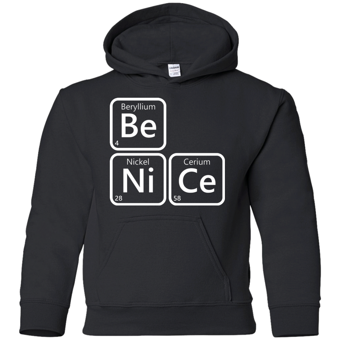 Be Nice Youth Hoodie