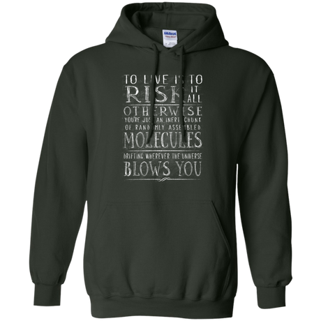 Universe Blows Pullover Hoodie