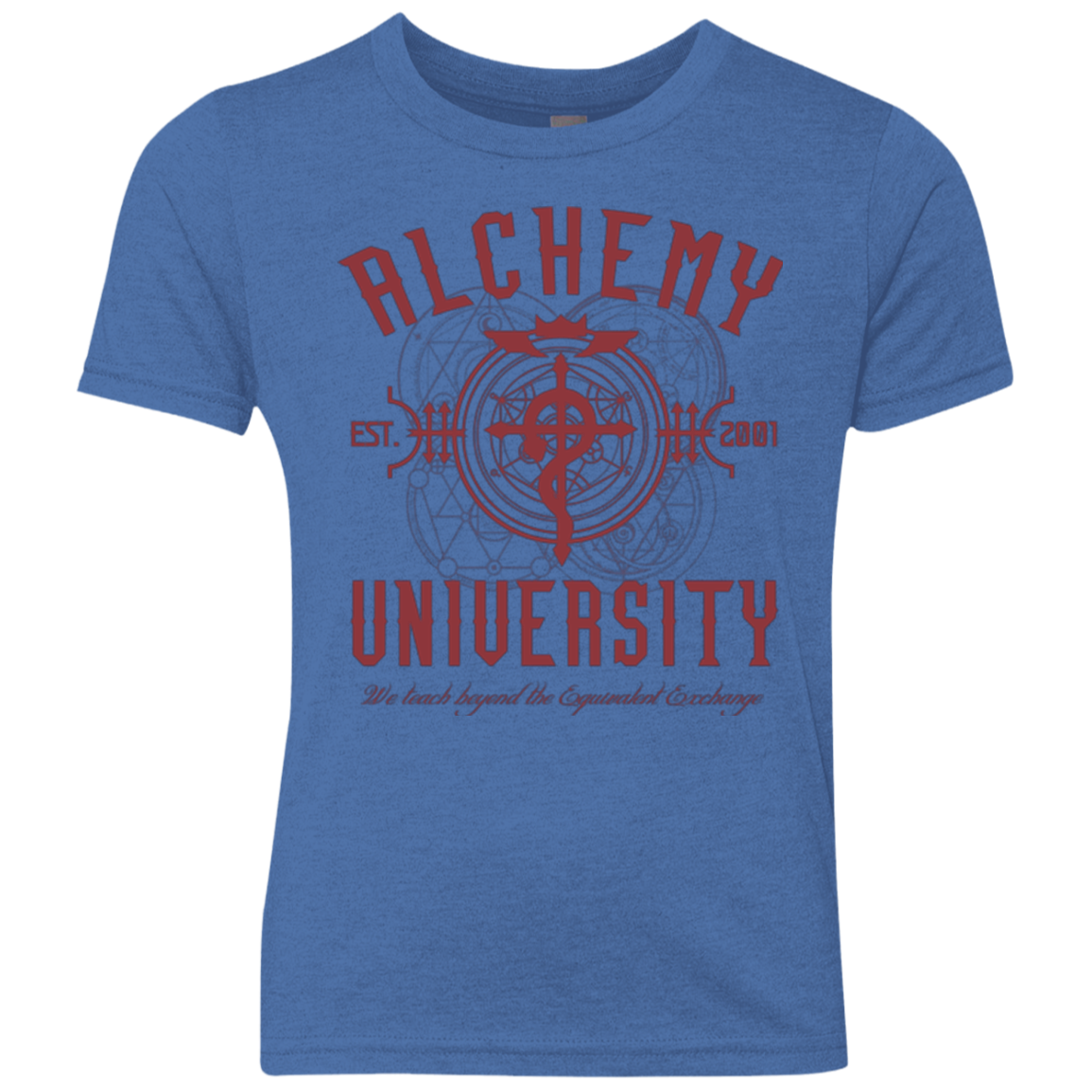 Alchemy University Youth Triblend T-Shirt