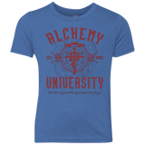 Alchemy University Youth Triblend T-Shirt