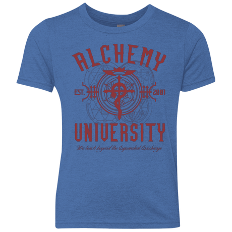 Alchemy University Youth Triblend T-Shirt