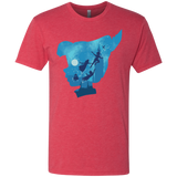Peter Portrait Men's Triblend T-Shirt