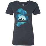 Lion Portrait Women's Triblend T-Shirt