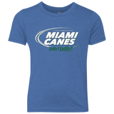 Miami Dilly Dilly Youth Triblend T-Shirt