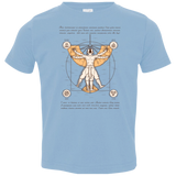 Vitruvian Aang (1) Toddler Premium T-Shirt