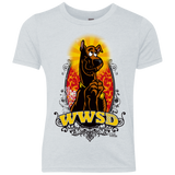 WWSD Youth Triblend T-Shirt