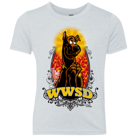 WWSD Youth Triblend T-Shirt