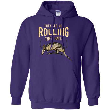 They See Me Rollin Pullover Hoodie