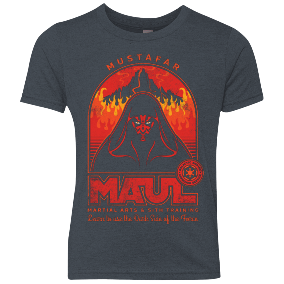 Maul Martial Arts Youth Triblend T-Shirt