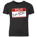 I am Groot Youth Triblend T-Shirt