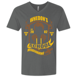 School of Misbehaving Men's Premium V-Neck