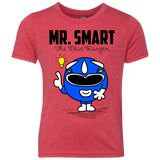 Mr Smart Youth Triblend T-Shirt