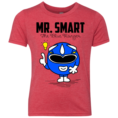 Mr Smart Youth Triblend T-Shirt