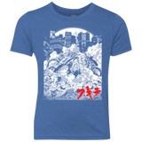 Chaos Youth Triblend T-Shirt