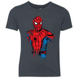 Spiderman- Friendly Neighborhood Youth Triblend T-Shirt