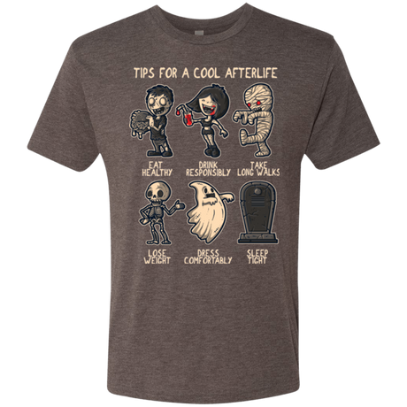 Cool Afterlife Men's Triblend T-Shirt