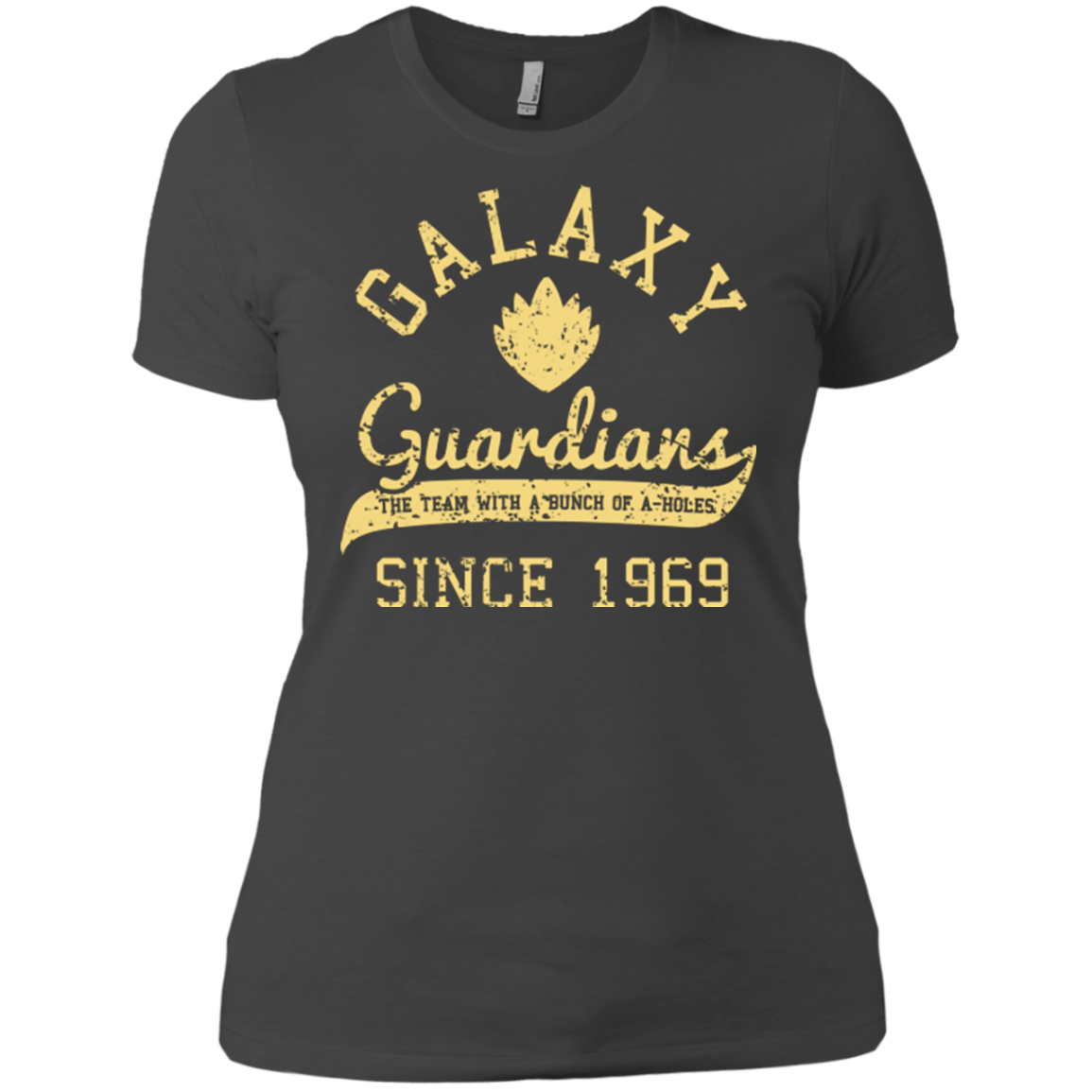 Guardians Since 1969 Women's Premium T-Shirt