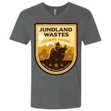Desert Tours Men's Premium V-Neck