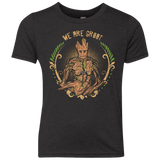 We are Groot Youth Triblend T-Shirt