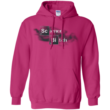 Science Bitch Pullover Hoodie