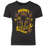 School of Misbehaving Youth Triblend T-Shirt