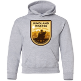 Desert Tours Youth Hoodie